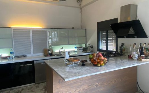 להשכרה בית במפלס אחד בהרצליה פיתוח