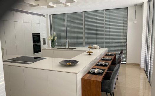 למכירה וילה בהרצליה פיתוח