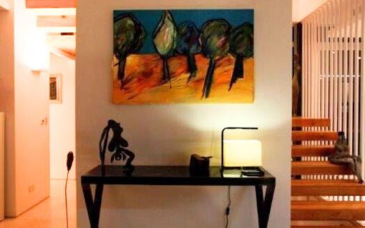 למכירה וילה בהרצליה פיתוח